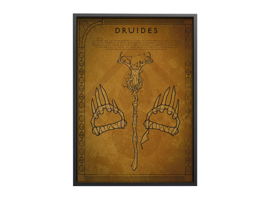 Affiche diablo 4 druide encadré